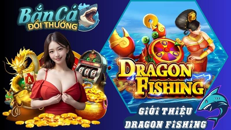 Giới thiệu ưu điểm và nhược điểm của Dragon Fishing Giới thiệu ưu điểm và nhược điểm của Dragon Fishing