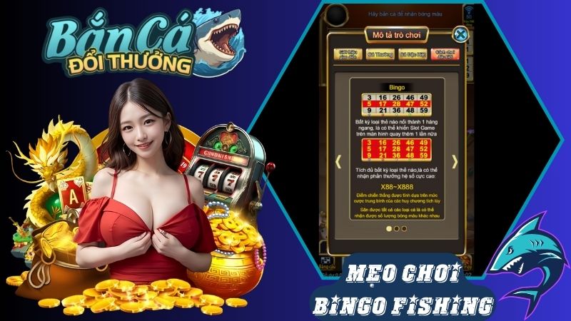 Mẹo bắn các boss tại Bingo Fishing nhận thưởng lớn Mẹo bắn các boss tại Bingo Fishing nhận thưởng lớn