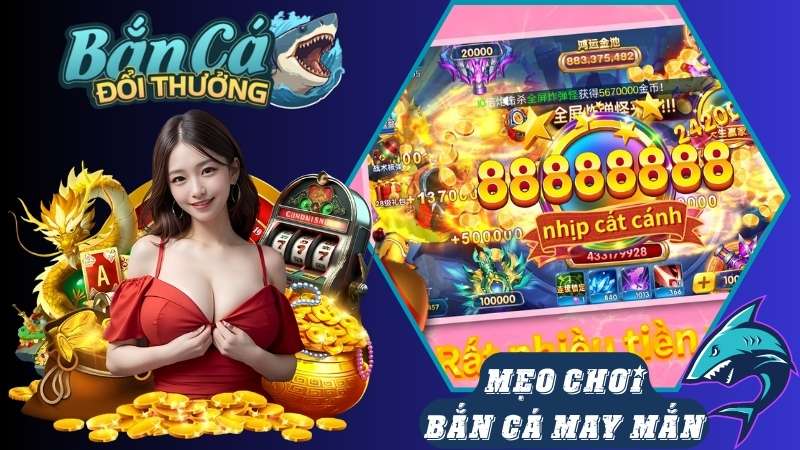 Mẹo bắn cá may mắn giúp tăng tối đa cơ hội chiến thắng Mẹo bắn cá may mắn giúp tăng tối đa cơ hội chiến thắng