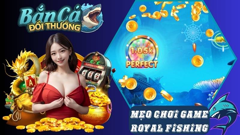 Mẹo chơi Royal Fishing tối ưu hóa lợi nhuận nhất Mẹo chơi Royal Fishing tối ưu hóa lợi nhuận nhất