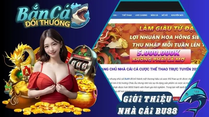 Đôi nét về nhà cung cấp game bắn cá Bu88 Đôi nét về nhà cung cấp game bắn cá Bu88
